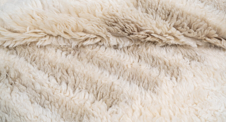 A-5974 IVORY BROWN - Image 2